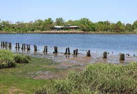 A 2 Million Facelift Planned For The Marine Park Salt Marsh Nature Center Brownstoner