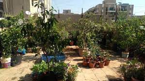 Terrace gardening also called rooftop gardening is as simple as it sounds. Terrace Gardening Rooftop Gardening Information Agri Farming