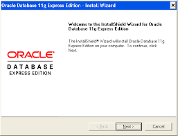 Every enterprise needs to securely maintain their data. Database Express Edition Installation Guide Contents