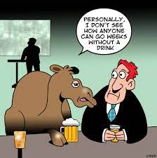 Camel lips are so thick that they can grasp. Everyone Likes A Drink By Toons Media Culture Cartoon Toonpool