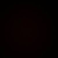 40+ "Markell" profiles