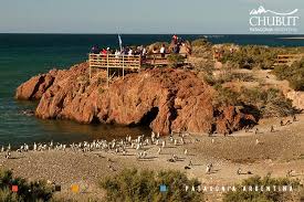 Punta tombo ist ein tierschutzreservat in der argentinischen provinz chubut an der atlantikküste, etwa 120 km südlich von trelew. Punta Tombo Natural Protected Area Chubut Patagonia Argentina