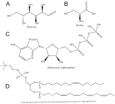 8 Functional Groups Biology Libretexts