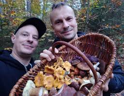 In der freien natur wachsen verschiedene essbare pilze. Heimische Pilze Sammeln Dailyvegan Kleines Pilzlexikon