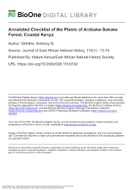 Image result for Vitellariopsis kirkii