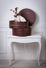 Chocischic Lamaisonduchocolat Chocolate Shop Candy Chocolate Like Chocolate