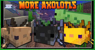 This mod simply adds more axololts into vanilla minecraft (they have their own nbt tag, starting from 5 to 14). More Axolotl Variants Mod 1 17 1 Mc Mods Pc