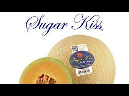 Sugar Kiss Melon Taste Test | Unusual Foods - Youtube