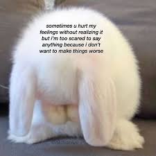 Love Memes On Instagram Ahahah Love Memes Stupid Memes Memes