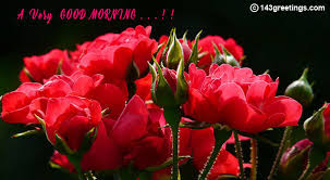 We hope that these good morning flower wishes, images for friends, love, and family will help you to express your feelings. Good Morning Messages Best Good Morning Wishes 143 Greetings