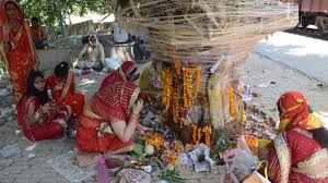 Vat Savitri Puja at Home without Banyan Tree: वट सावित्री पूजा के लिए बरगद का पेड़ न मिले तो क्या करें? | how to do vat savitri puja at home without banyan