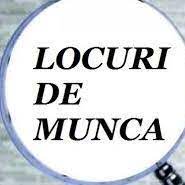 98 de locuri de muncă de locuri munca strainatate disponibile pe indeed.com. Locuri De Munca In Strainatate Olanda Germania Belgia Posts Facebook