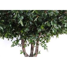 Remplissez les d'eau tiède mais pas trop chaude. Chene Artificiel Arbre