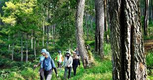 OUTBOUND LEMBANG: Solusi Healing dan Nature Therapy untuk Karyawan