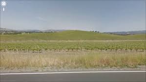 1 offer from $9.99 #15. Ever Wonder Where The Windows Xp Default Wallpaper Came From