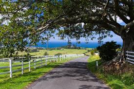 Rural Property Valuations Sydney Trusted Property Valuers