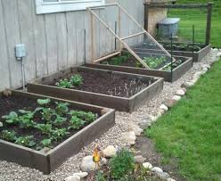 Raised Garden Beds Prevents White Rot Funji Eco Wood Treatment Bahce