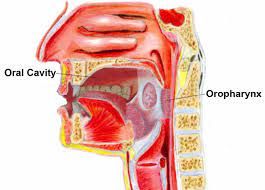 Staging System For Hpv Throat Cancer Head And Neck Cancer Alliance