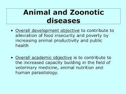 Ppt Animal And Zoonotic Diseases Powerpoint Presentation Free Download Id 310255
