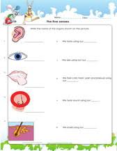 Printable science worksheets for teachers. 4th Grade Science Worksheets Pdf Printable