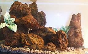 Amazon Com Fish Tank Rocks Natural Aquarium Lava Cichlid Stone Cave Kit Fire Color 10 Stones Pet Supplies Cichlid Aquarium Cichlids Aquascape