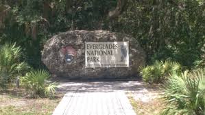 wheelsonfire1: Everglades National Park