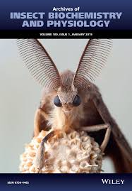 These are a promised alternative safe candidate to harmful synthetic insecticides. Repellent Action And Contact Toxicity Mechanisms Of The Essential Oil Extracted From Chinese Chive Against Plutella Xylostella Larvae Gao 2019 Archives Of Insect Biochemistry And Physiology Wiley Online Library