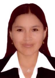 Propiedades de Otorongos Elecciones 2022