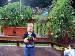 Gardenpatchgrowboxmanassas Va Grow Boxes Garden Garden Design Layout