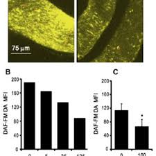 PDF) Regulation of cnidarian-dinoflagellate mutualisms: Evidence that  activation of a host TGFβ innate immune pathway promotes tolerance of the  symbiont