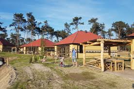 Ontspannen baantjes trekken in het overdekte zwembad. Als Een Koning In Afrika Ultieme Luxe In Safari Resort Beekse Bergen