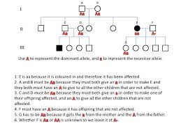14 Rational Simple Pedigree Worksheet