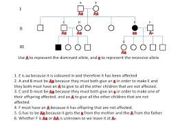 14 Rational Simple Pedigree Worksheet