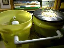 Aquaponics 5 Gallon Bucket Aquaponic