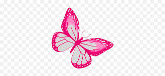 Butterfly Pink Gif - Transparent Pink Butterfly Gif Png,Butterfly Gif  Transparent - free transparent png images - pngaaa.com