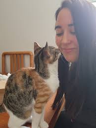 Why do torbie cats grow so fast?