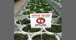 There's no denying that in florida we have a wide variety of insects, pests and other. Pesticide Training And Ceu S Uf Ifas Extension