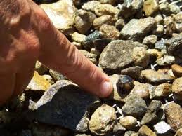 This Is What A Raw Garnet Looks Like Rock Hounding Minerals And Gemstones Minerals