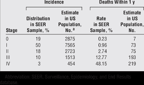 Melanoma Incidence And Deaths By Stage For Us Population 65