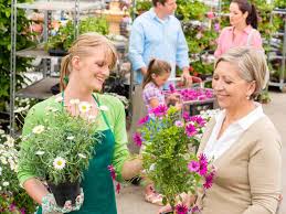 Spruce up your home and garden with qvc. How To Save Money At The Garden Centre Saga