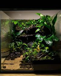 Paludarium Iranian Tren Instagram پالوداریوم دوجهته مخصوص کنج که دو نمای متفاوت بدلیل دونوع پوشش متفاوت گیاهی Frog Terrarium Aquascape Design Turtle Aquarium