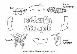 Mosquito control professionals from local government departments or mosquito control districts use this information about mosquito biology and their lif. Butterfly Life Cycle Colouring Page Kids Puzzles And Games