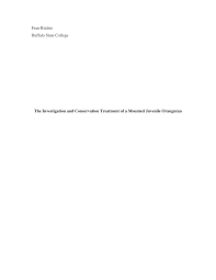 Fran Ritchie Buffalo State College The Investigation and Conservation  Treatment of a Mounted Juvenile Orangutan
