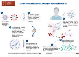 El Consejo General De Dentistas Elabora Un Documento Sobre La Vacunacion Frente A La Covid 19 En Espana Gaceta Dental