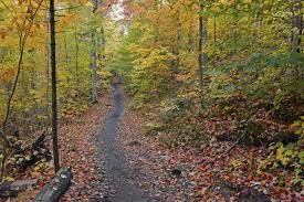 Ever Wonder What S The Best Way To Find Hiking Trails Near Me Ranger Mac Goes Over Some Useful Websites And A Local Hiking Trails Hiking Trails Camping Park