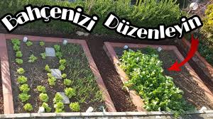 Sebze Bahcesi Nasil Yapilir Bahcenizi Bizimle Duzenleyin Sehirden Koye Donus 3 Youtube Bitki Sebze Bahcesi Bahce