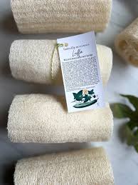 Image result for Luffa