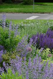 Apartments, lp, caterat arms, : Adam Woodruff Associates Walnut Street Gorgeous Gardens Garden Design Natural Garden