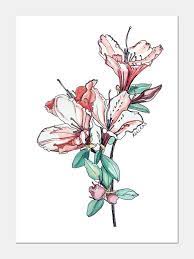 Items Similar To Azalea Flowers 5x7 Watercolor Ink Art Illustration Print Floral Flower Azaleas On Etsy Flower Drawing Flower Art Ink Art