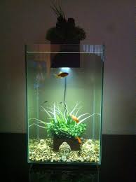 Fluval Chi Pic Jpg Fish Tank Accessories Fish Tank Decorations Fish Tank